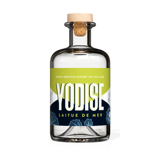 YODISE Laitue de mer (45%)